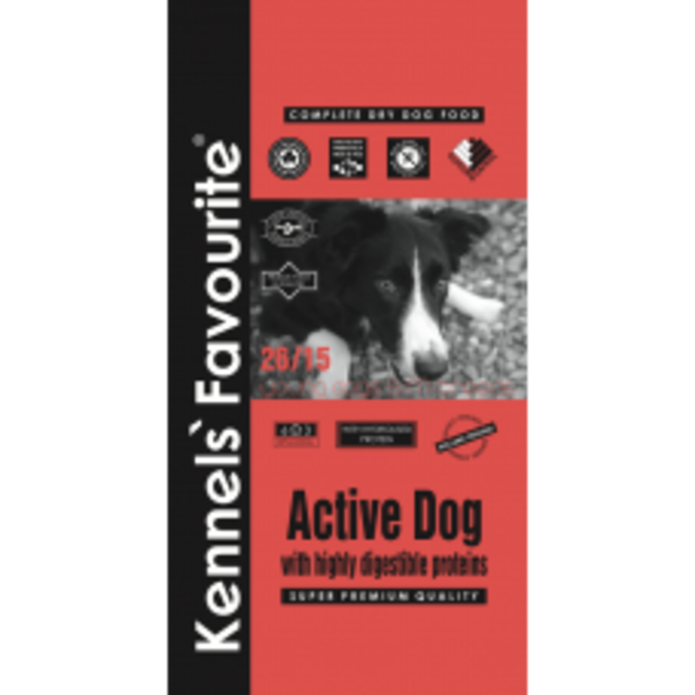 Active Dog - vidutinio dydžio judriems šunims