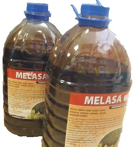 Melasa