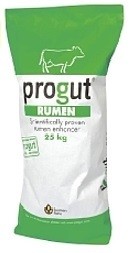 Progut Rumen