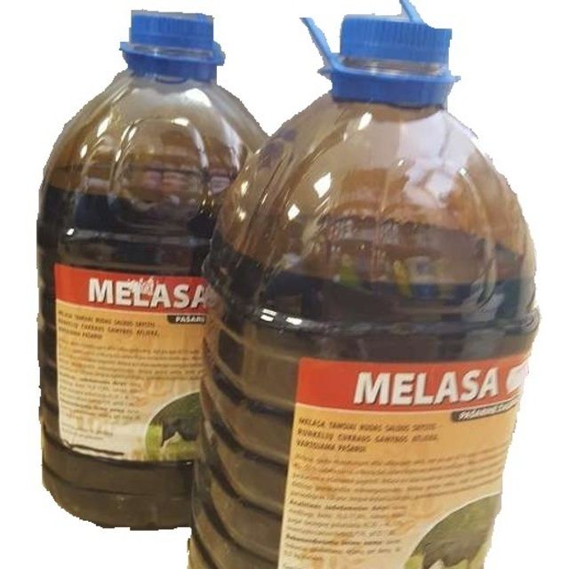 Melasa