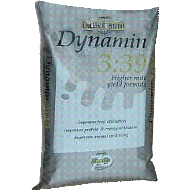 Dynamin 3:39 (antisomatic)