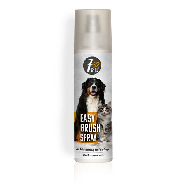 EASY CLEAN SPRAY(kailio valymo priemonė)