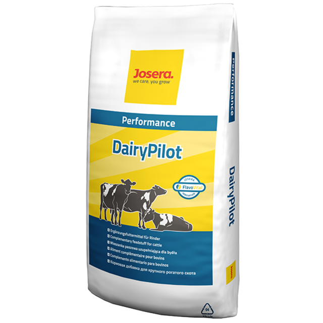 Dairy pilot
