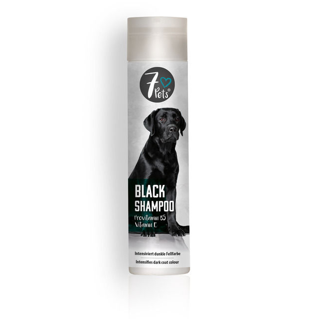 BLACK SHAMPOO