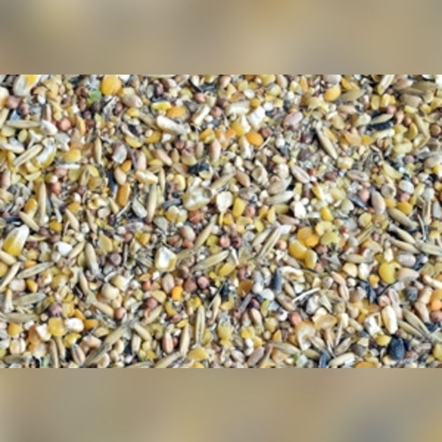 Vištoms dedeklėms KAMPOL (KUN) NATURALUS