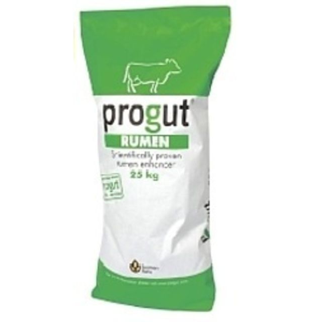 Progut Rumen