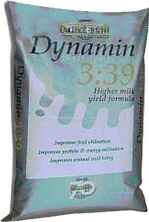 Dynamin 3:39