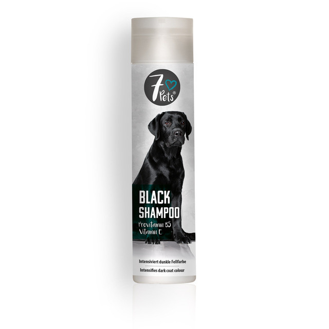 BLACK SHAMPOO