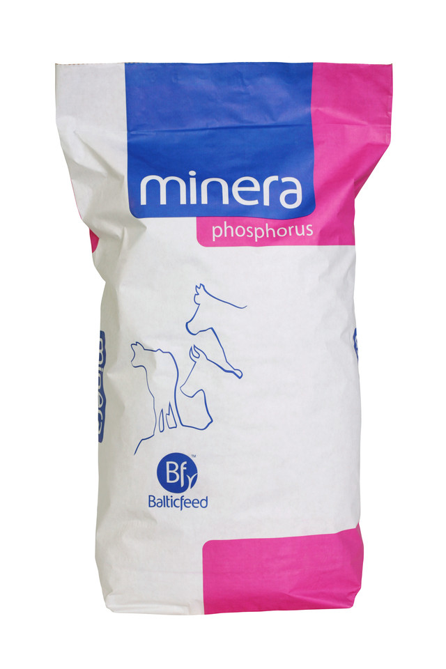 Minera Phosphorus