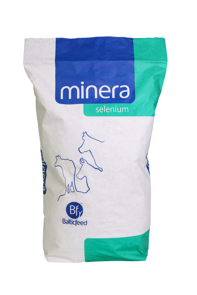 Minera Selenium