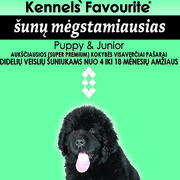 Puppy & Junior - didelių ir itin didelių visų veislių šuniukams nuo 4 mėnesių iki 16/18 mėn.