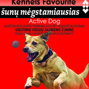 Active Dog - vidutinio dydžio judriems šunims
