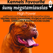 High Power - visų veislių suaugusiems ypatingai aktyviems šunims