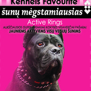 Active Rings - jauniems aktyviems visų veislių šunims