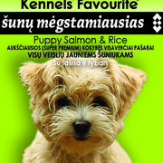 Puppy Salmon & Rice -jauniems šuniukams su lašiša ir ryžiais